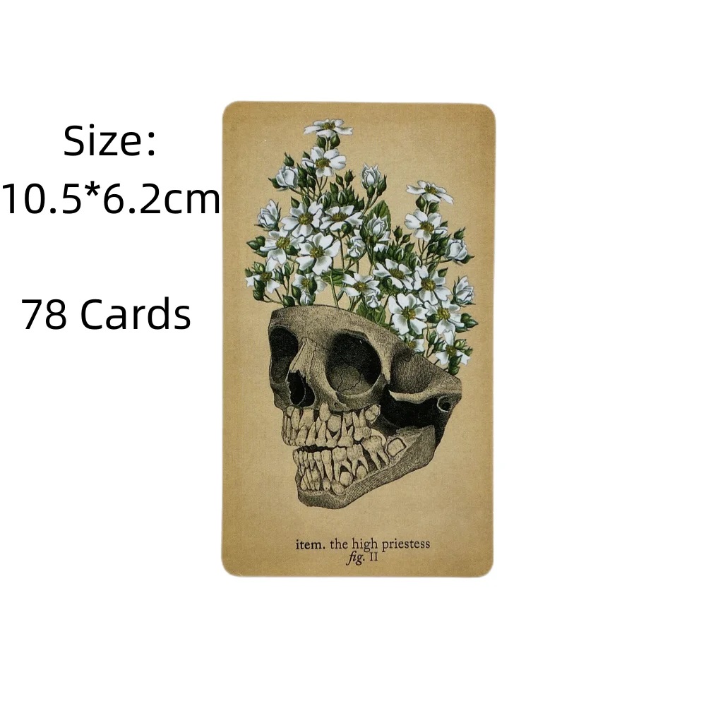 بطاقات التارو التشريح العتيقة  - مراجعة Card Game Deck وسعره